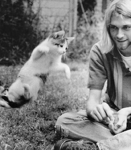 sarcasm-factory: Kurt Cobain and kittens.