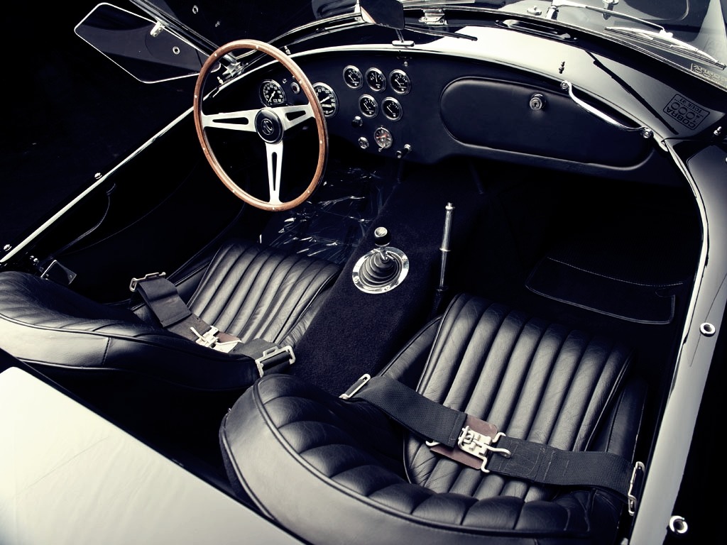 1womanofwonder:  happyninjabunny:  Shelby Cobra  Yes…that 