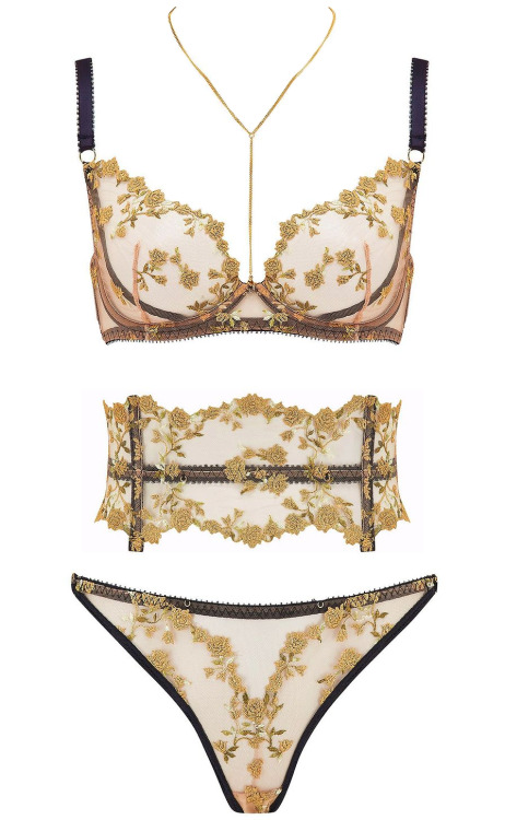 martysimone:    Edge o’ Beyond | Charlotte en Or • embroidered golden roses on sheer tulle    