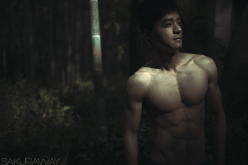 sakuraway25:摄于九溪烟树模特：Y
