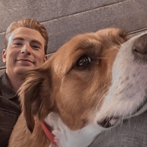 Cevans + Dodger