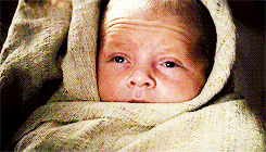 sansa-starsk:Blood of my blood.