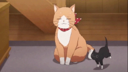 Do You Accept Rpf Requests? Romantic And/or Platonic? /genq