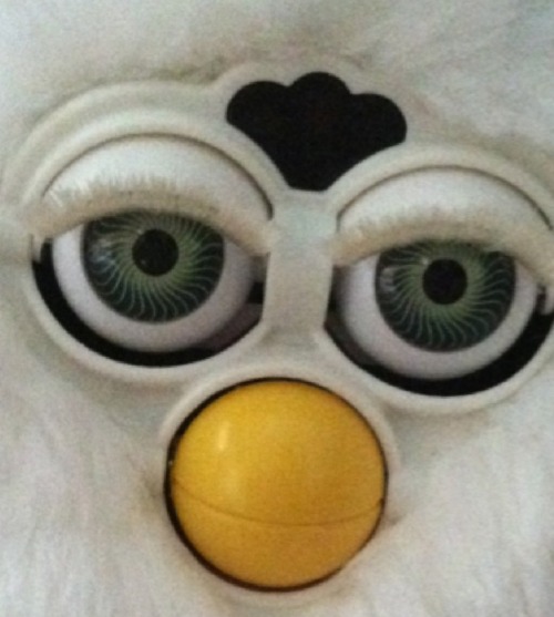 furbology:furbology:myfurby:My favorite post everThis just makes me so happy idk why fav post@clorox