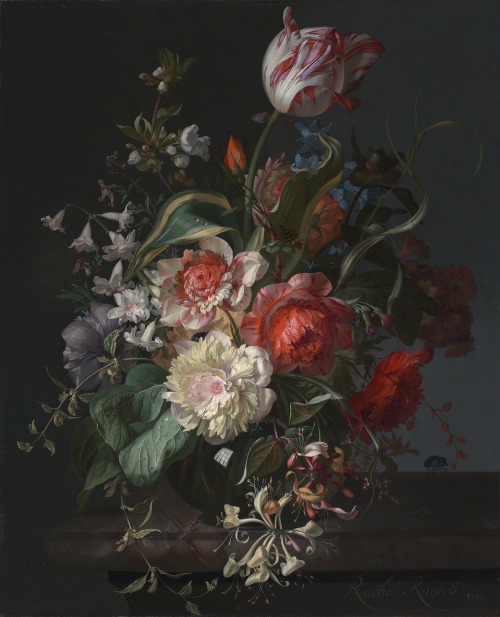 laclefdescoeurs:Flowers in a Glass Vase with a Tulip, 1716, Rachel Ruysch