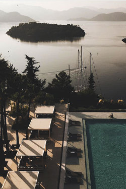 thelavishsociety:  Favorite Spot by Adam