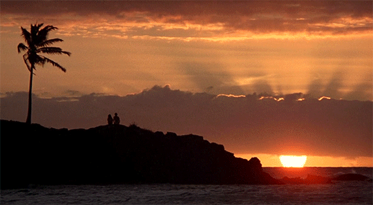 roseydoux:  The Blue Lagoon (1980)