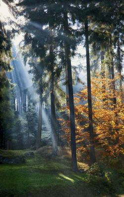 bluepueblo:  Sun Ray, Marienbad, Czech Republic