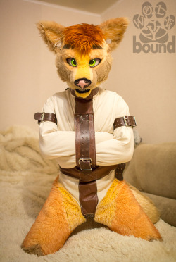 wolfybound:  I love being encased in canvass cosy restraints, especially straitjackets ^_^ 