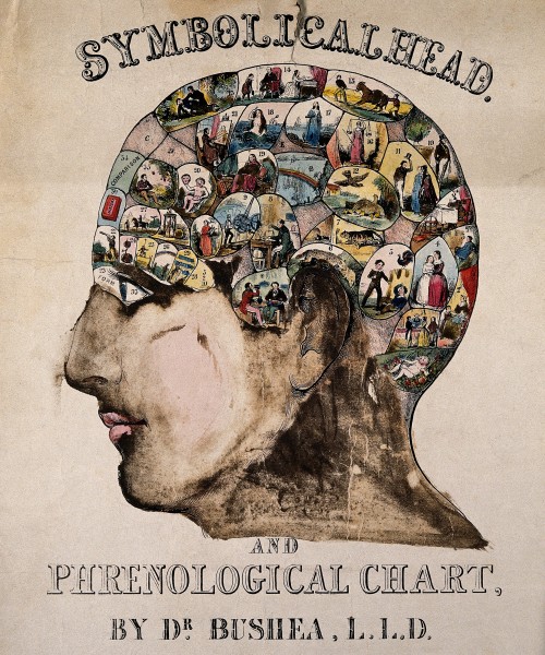 magictransistor:After O.S. Fowler. Symbolical Head. 1845.