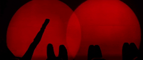 31b9d389ee0a9be6cd1e100b62b00c4f44404884.gifv