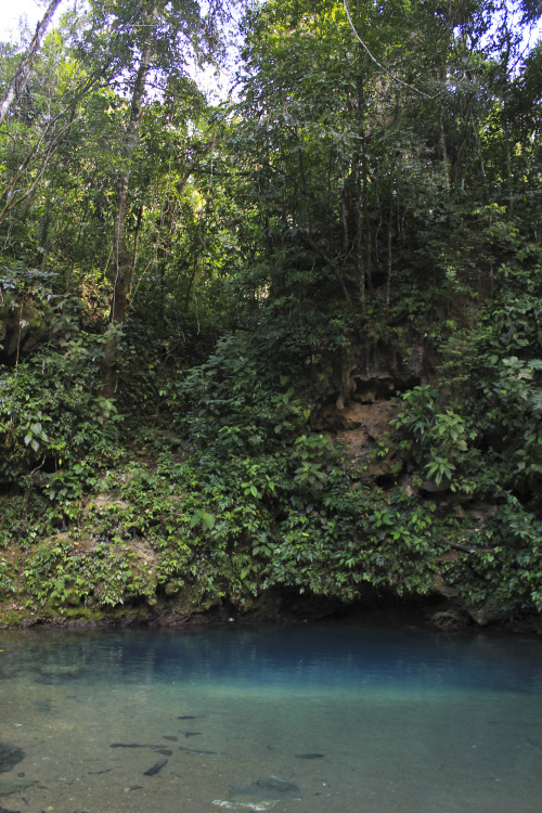 alex-j-hughes:  Drop-off at the blue hole