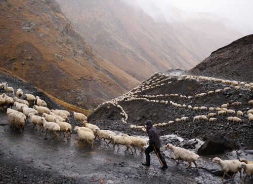 killing-the-prophet:The climb to Abano Pass, in Georgia is regarded as one of the most dangerous on 