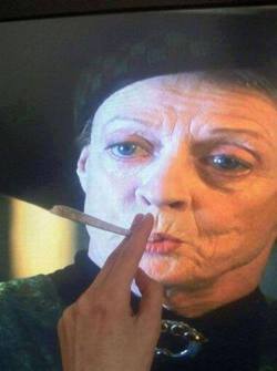 feeed-ur-mind:  Blaze it professor mcgonagall