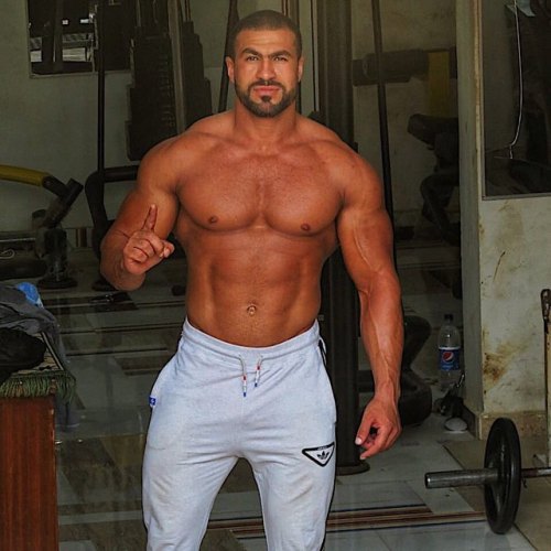 Arab Muscle Gods