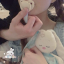 kittensecretworld