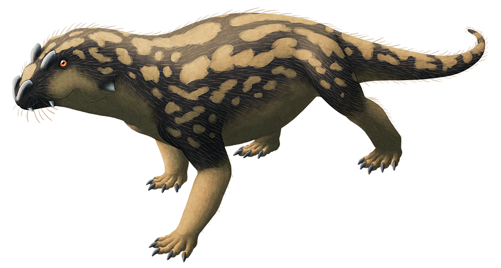 alphynix:
“ The name Tetraceratops (“four-horned face”) sounds like it should belong to some sort of large horned dinosaur, doesn’t it? Perhaps a relative of Triceratops or Pentaceratops.
Well, nope! Tetraceratops was actually a small synapsid (a...