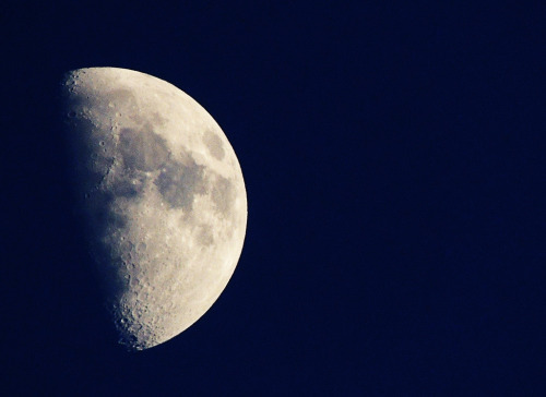 galaxyshmalaxy: Moon (by StephanieMJ)