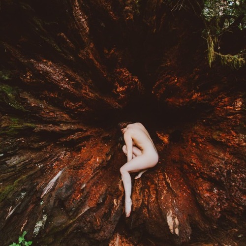 XXX nicolevaunt: Echoing nature with @corwinprescott photo