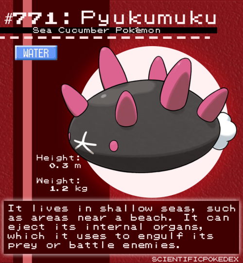 scientificpokedex: Sea cucumbers are undoubtedly one of the stranger animals on our planet, and Pok&