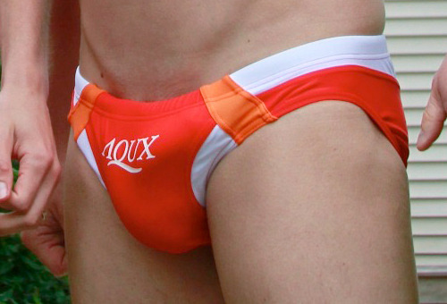 Dedicated Follower of Bulges