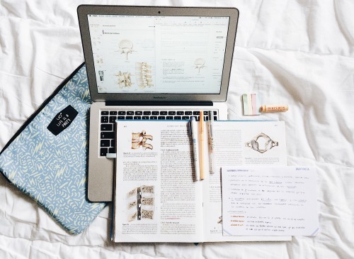 [11.18.17: Anatomy Study Session]