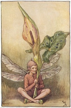 marjoleinhoekendijk:  Lords-and-Ladies Fairy and Dandelion Fairy More Flower Fairies