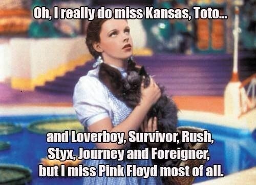 heygingergirl:  Yes…Pink Floyd most of all. Wish You were here… 