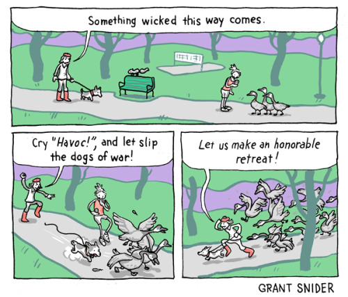 incidentalcomics:Shakespeare in the ParkAll words in this comic are courtesy of the great William Sh
