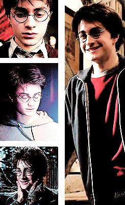 acciowintershield:for pottersir~
