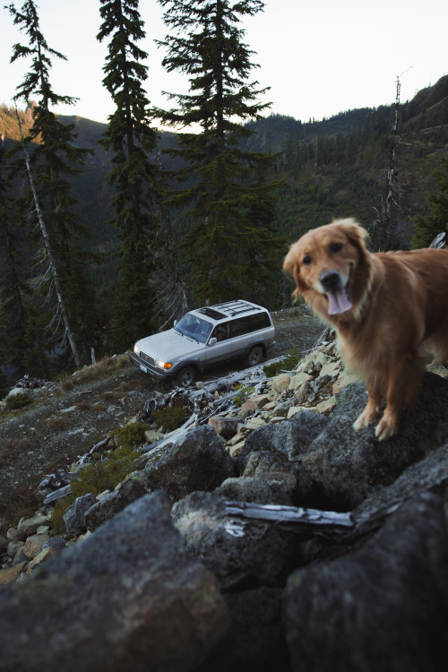 masonstrehlphoto: “HI LOOK AT ME” Mason Strehl | Instagram