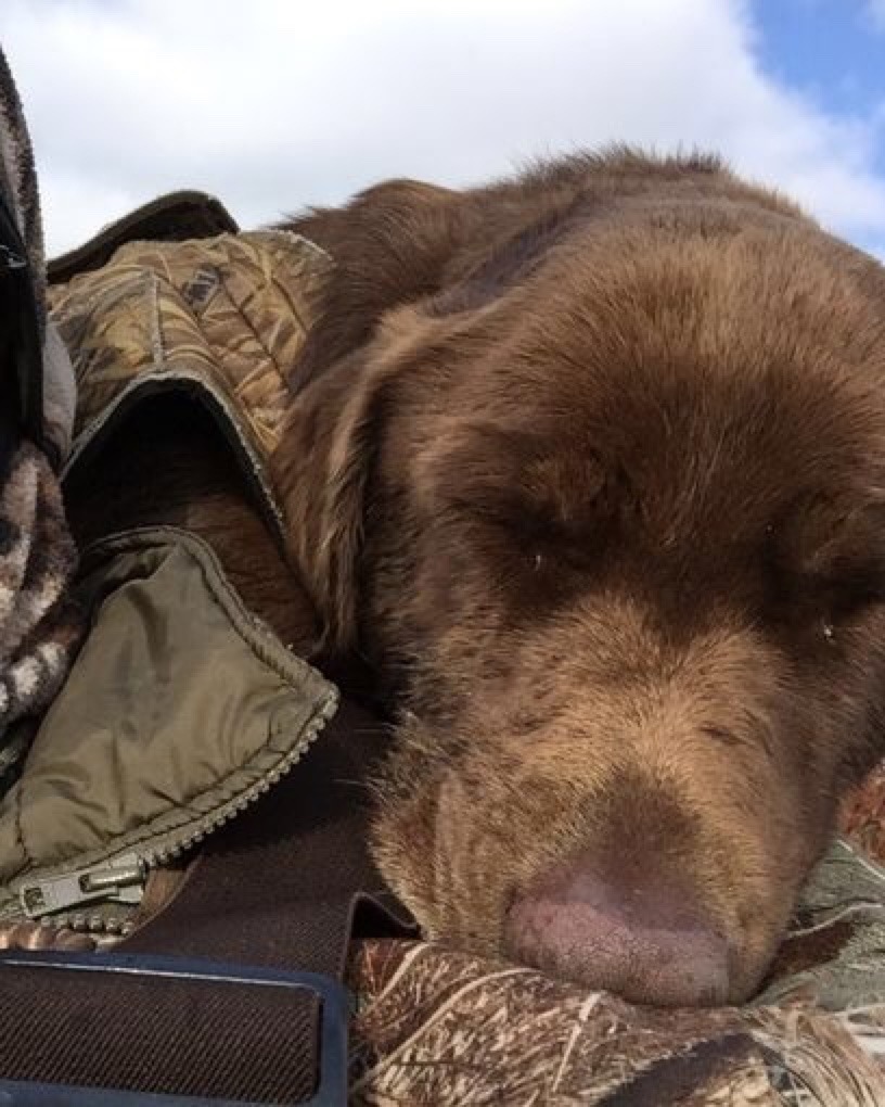 tylerstrouble:  She gives great blow jobs…on her duck calls too!