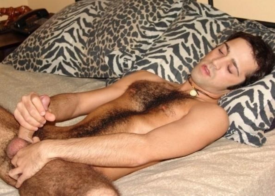 hairy lover amoureux de poils