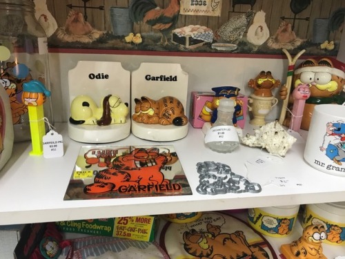 shiftythrifting:This antique store had a large collection of Garfield memorabilia including the abso