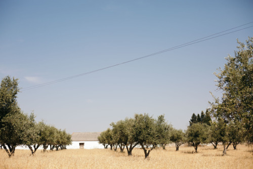 alentejo, portugal