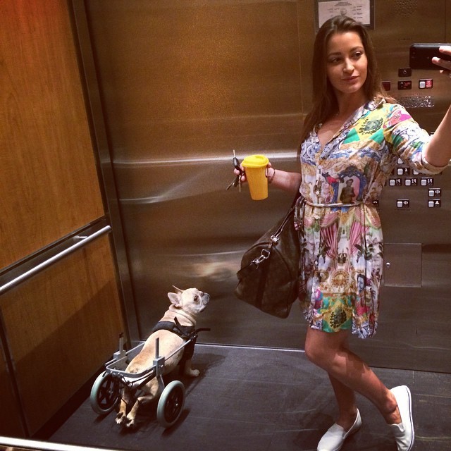 missdanidaniels:  Morning! Darwin and I are off on the run! 💙