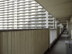 tamazo2: 名古屋市営南新開荘（1977〜8）