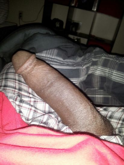 Black Dick Galore 