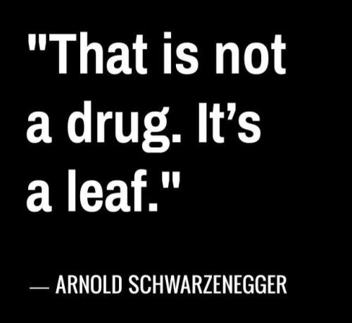 Legalize the Cannabis
