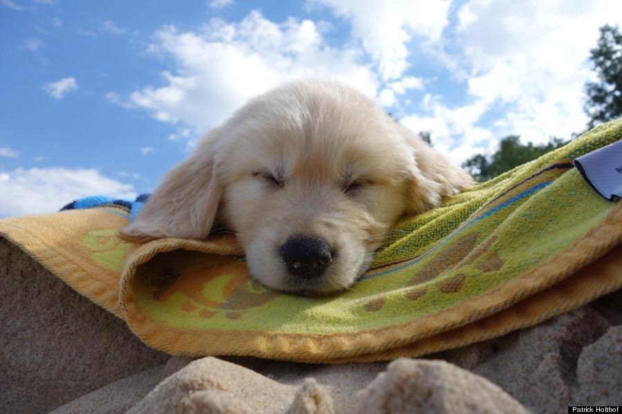 wi-fivibes:  .