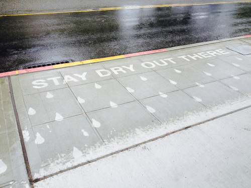 itscolossal:  A New Series of Water-Activated Artworks on Seattle Sidewalks that Only Appear When It Rains