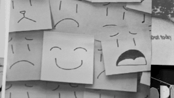 https://69.media.tumblr.com/9b13cf29e208a14728d27483793b8ee6/tumblr_n5hrtcC8m21t66uaoo1_r1_500.gif