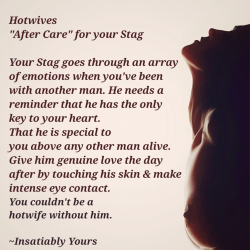 To All Those Who Are Or Want To Be Vixens . . . 