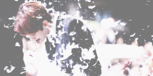 EXO Pale Headers