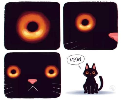 catsbeaversandducks: This is the first photo of a black hole and… OH LAWD.Photo via CNN