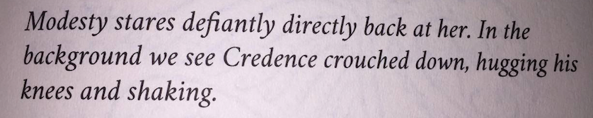 I bought the screenplay of Fantastic Beasts just so I could read more about Credence