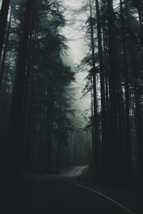 envyavenue:

Lost in a Dream by Zachary Snellenberger. 