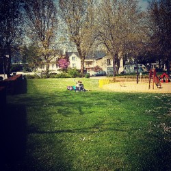 #ancenis #NANTES #parc  #mai #jouer #herbe  (à Ancenis)