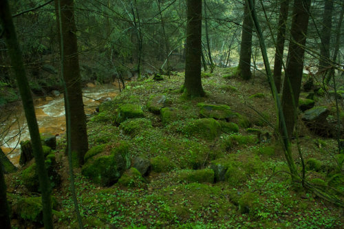 spiritofthewoodlands: altar by purstotahti