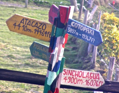 Señalada hacia picos locales, Páramo cerca de Volcán Cotopaxi, Ecuador, 2008.